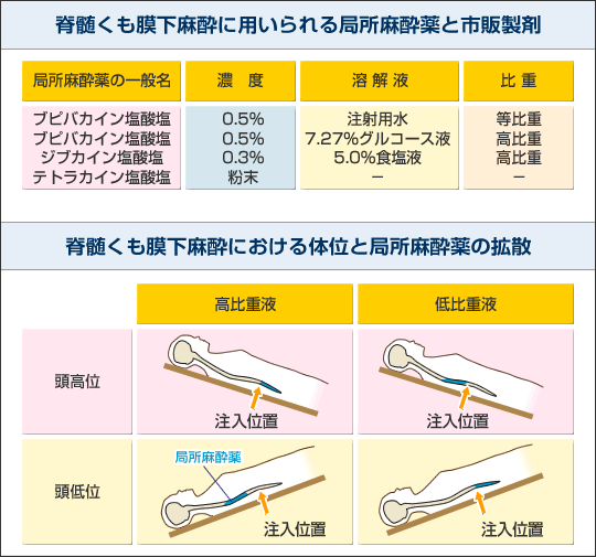 第7話 局所麻酔薬-4（脊髄くも膜下麻酔） | products.sandoz.jp